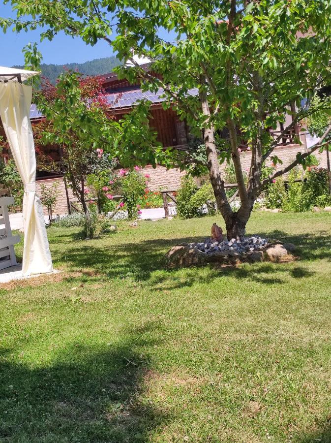 Guest House Caracas Lorica Zewnętrze zdjęcie