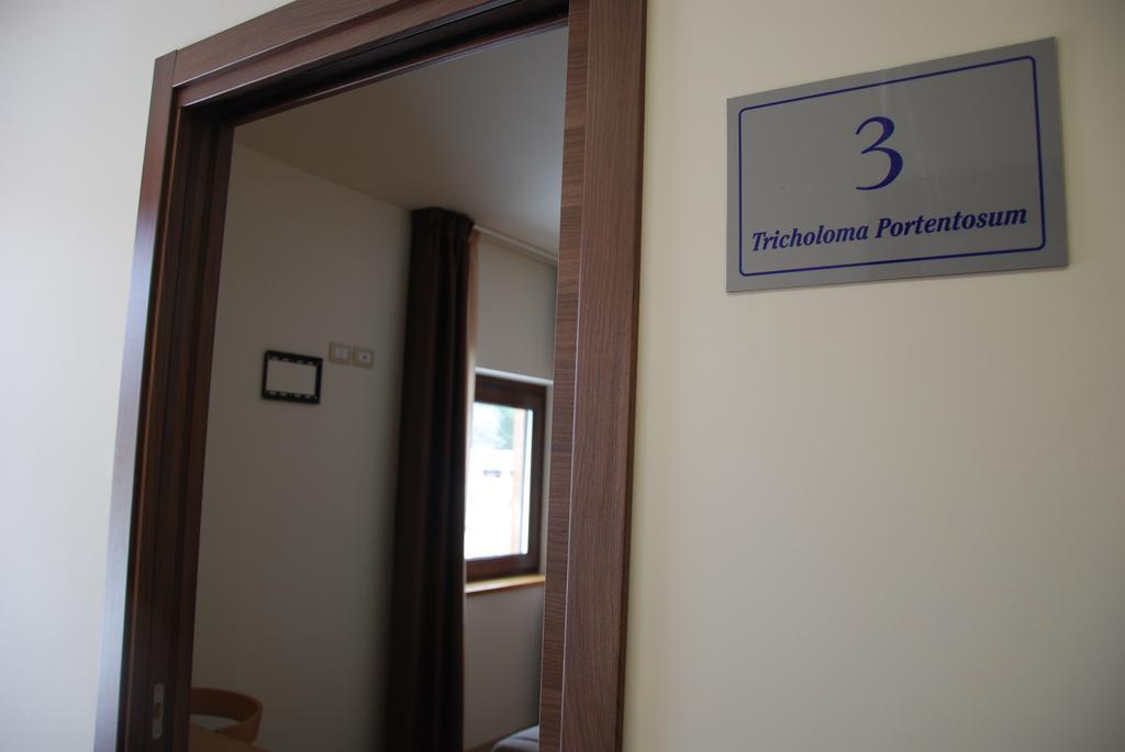 Guest House Caracas Lorica Zewnętrze zdjęcie