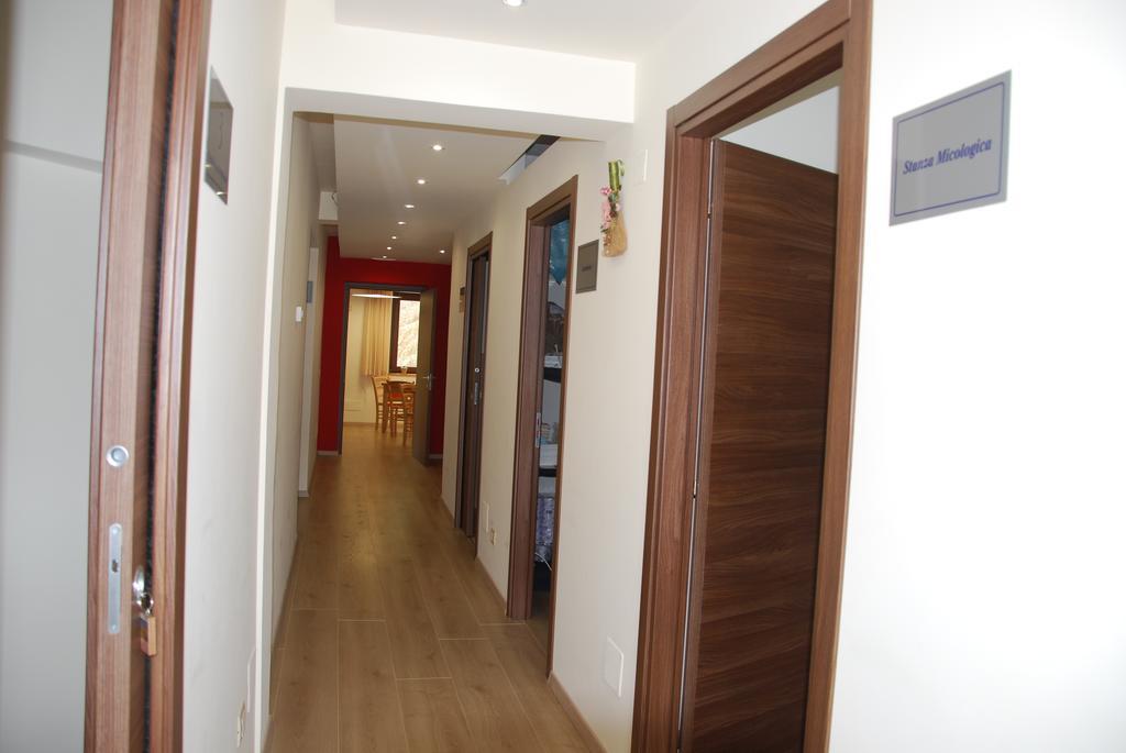 Guest House Caracas Lorica Zewnętrze zdjęcie
