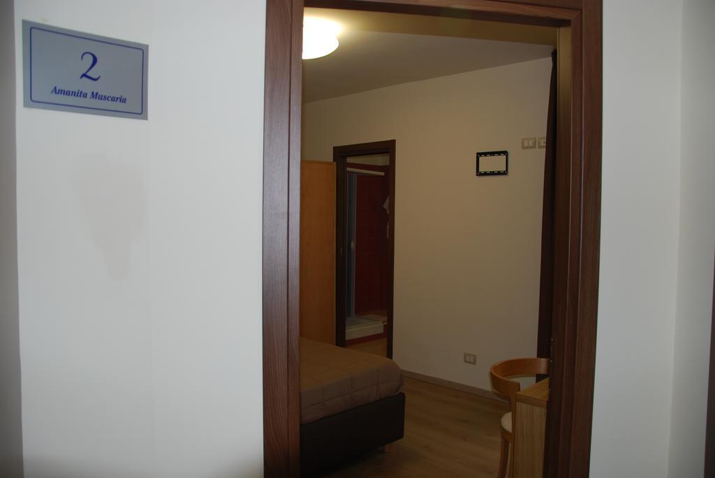 Guest House Caracas Lorica Zewnętrze zdjęcie